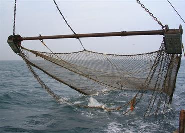 North Sea beam trawl for flatfish