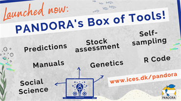 Forretningsmand pakke tang PANDORA's Toolbox