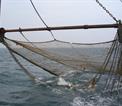 North Sea beam trawl for flatfish