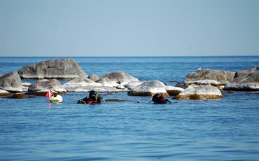 divers in the Kvarken marine region Gulf of Bothnia