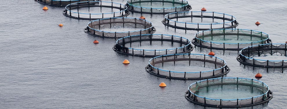 Aquaculture
